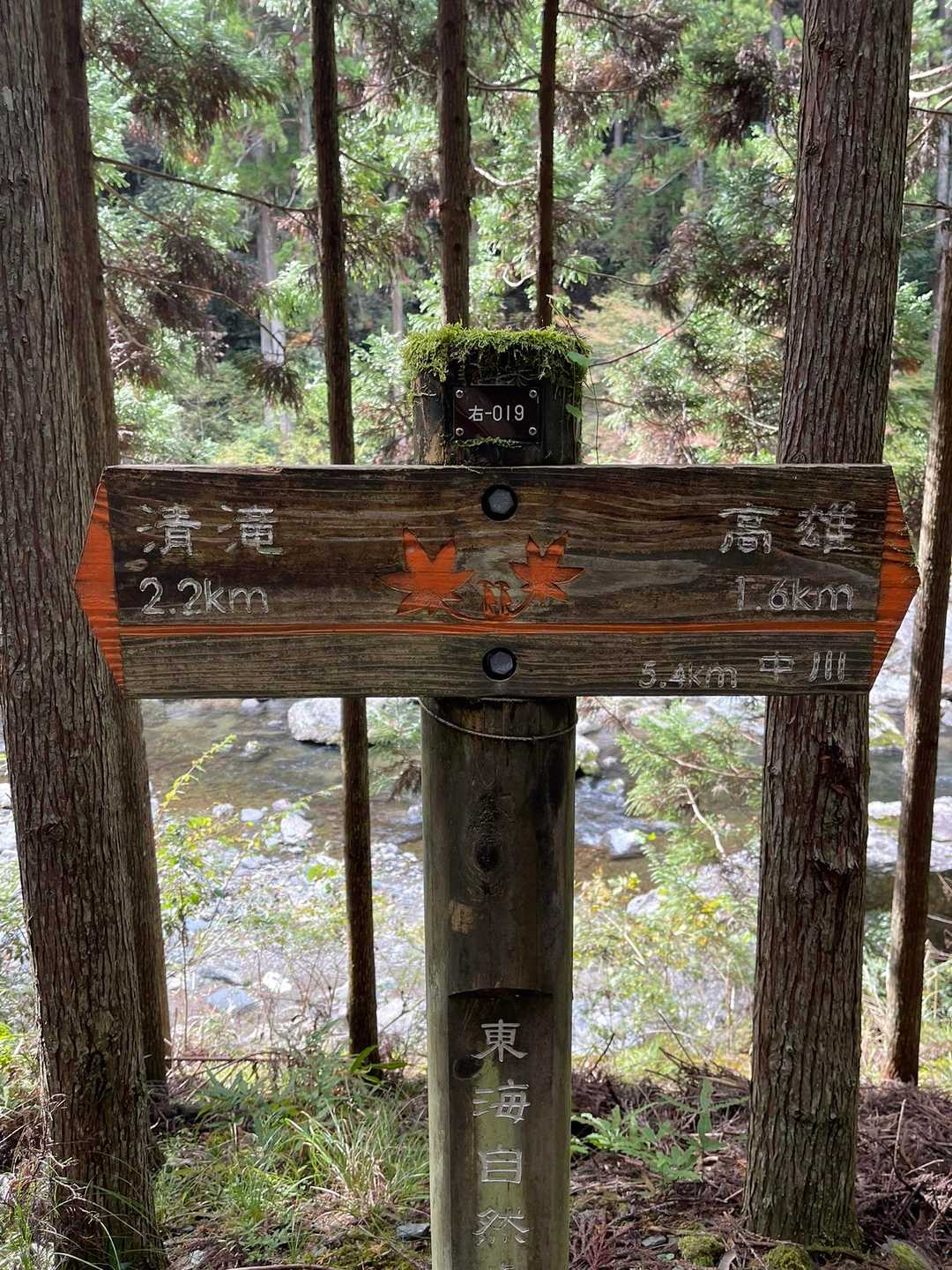 紅葉狩り🍁につい見惚れてしまい💦