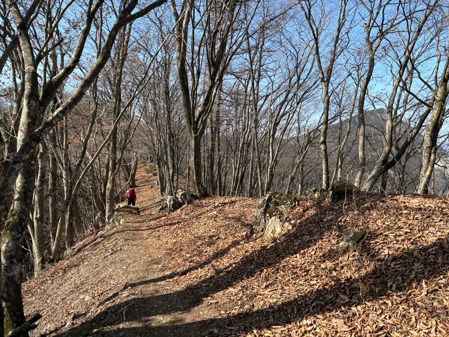 アップダウンは続くけど…気持ちの良い登山道☺️