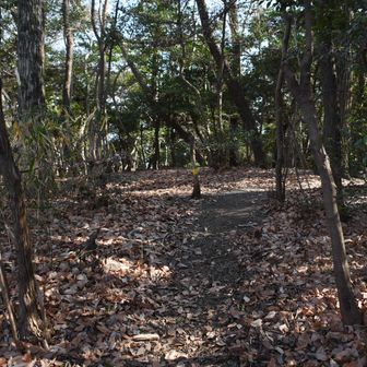 銀峰、コースに到着