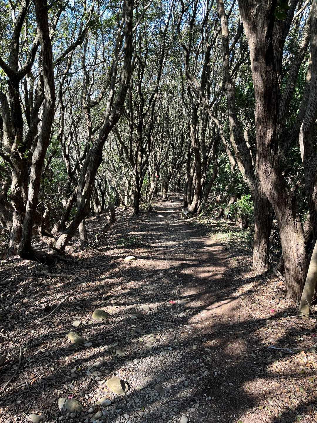 山頂を後にして、萩原峠ルートで下山します。