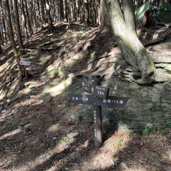 定峰峠から大霧山までのちょうど中間地点に旧定峰峠というのもある
