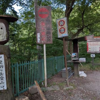 甲斐駒ヶ岳ではありません。
日向山へ