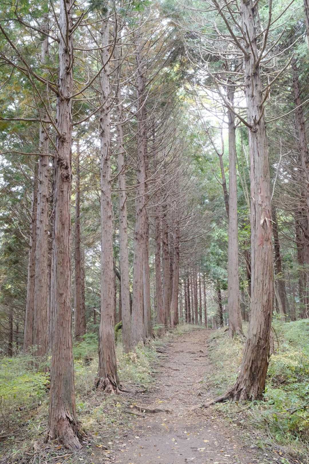 下山開始します！