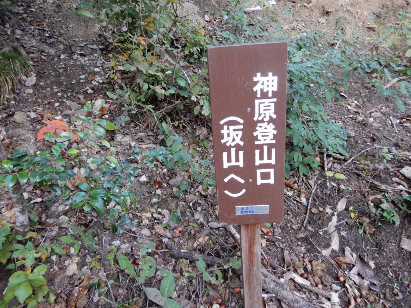 登山口の標識