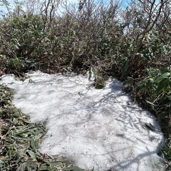 残雪はほんの少しだけ🤍