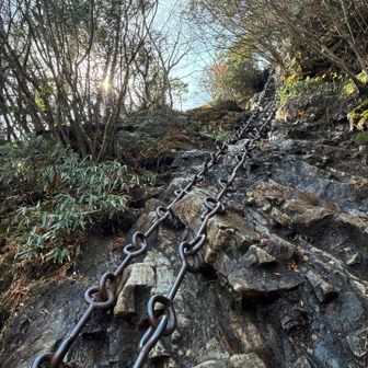 石が乾いてなくてツルッツル…

常に足元との真剣勝負💪
進むたびに集中❗️次の足どこにする？って〜