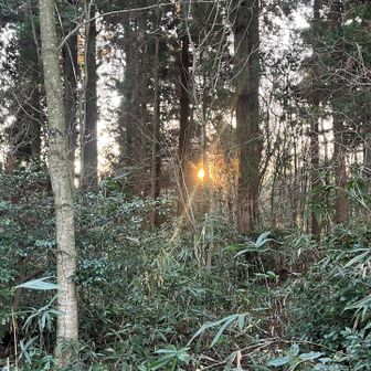 法尻山から朝日