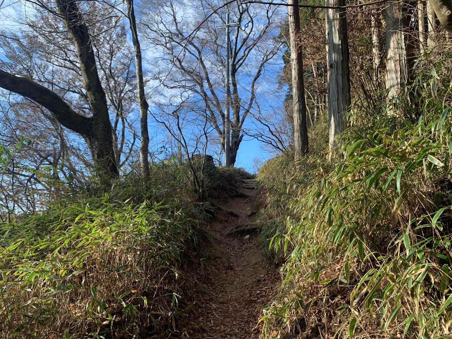 下りも　青崩道
