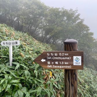 風が当たらない場所で補給
励まし合いながら歩きました
高知は目前です