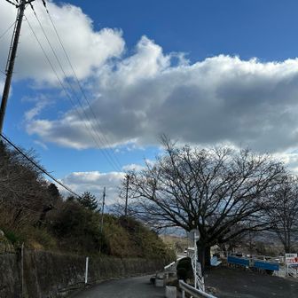 到着です😊樫原神宮へ参拝に向かいます