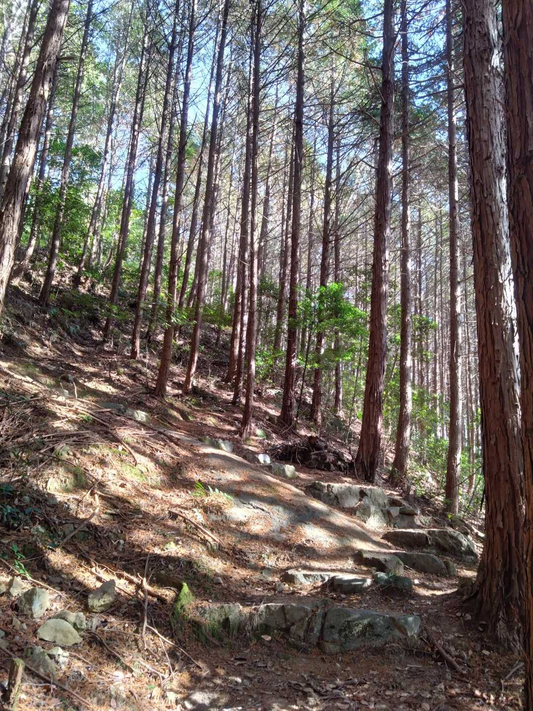和田地域づくりセンター-和田小学校前バス停-山南和田郵便局 往復コースの写真