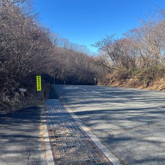 さらに大きい道路に出て