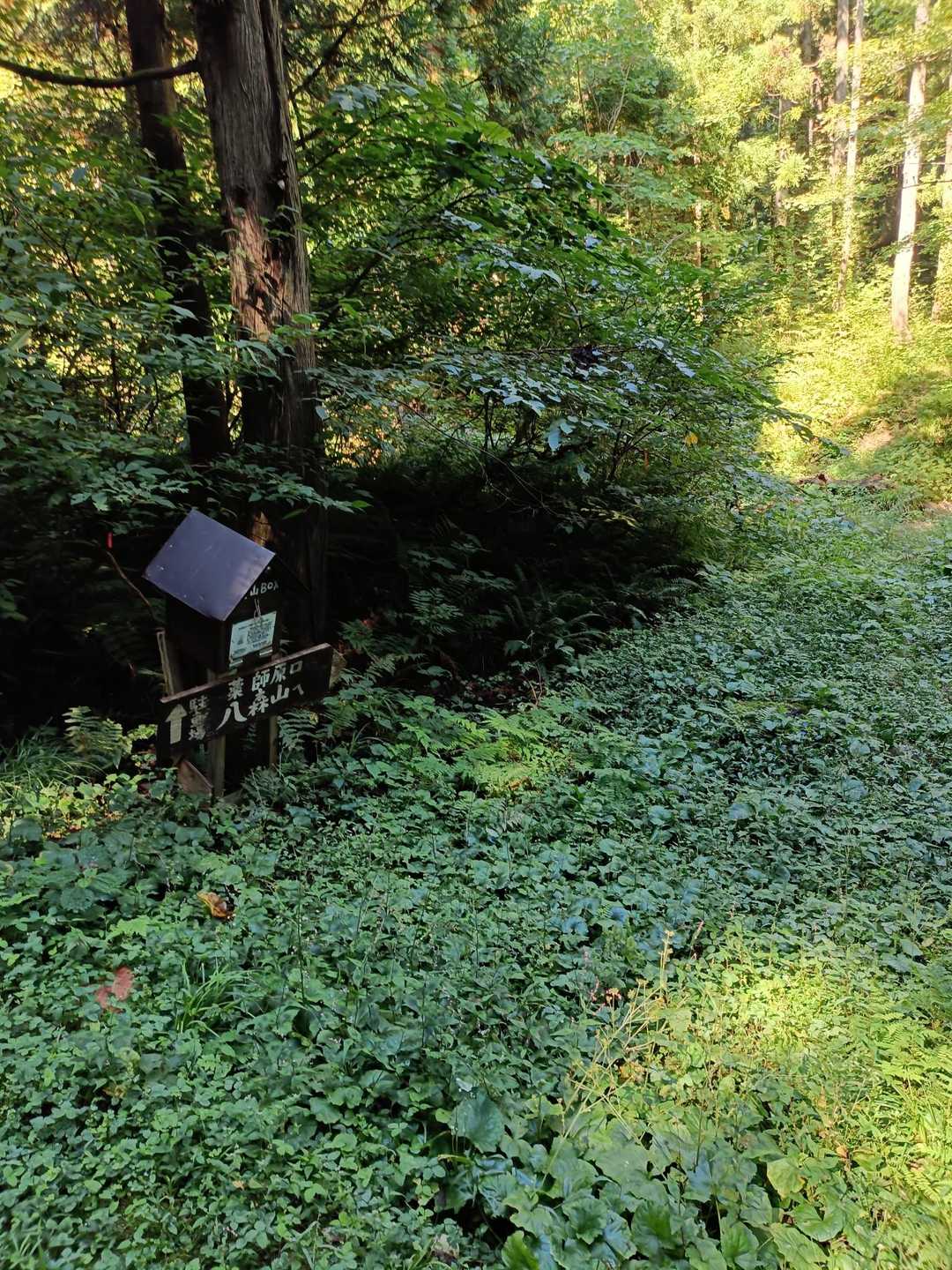 登山者のカウンターとノートがありましたが、カウンターは壊れ、箱を開けたらアリの巣窟🐜でびっくり