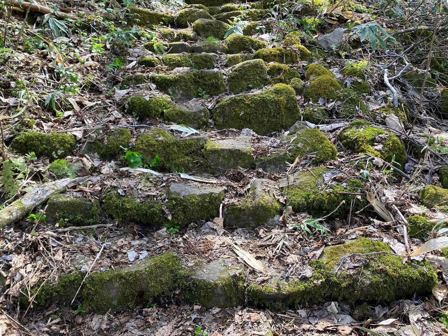 石段