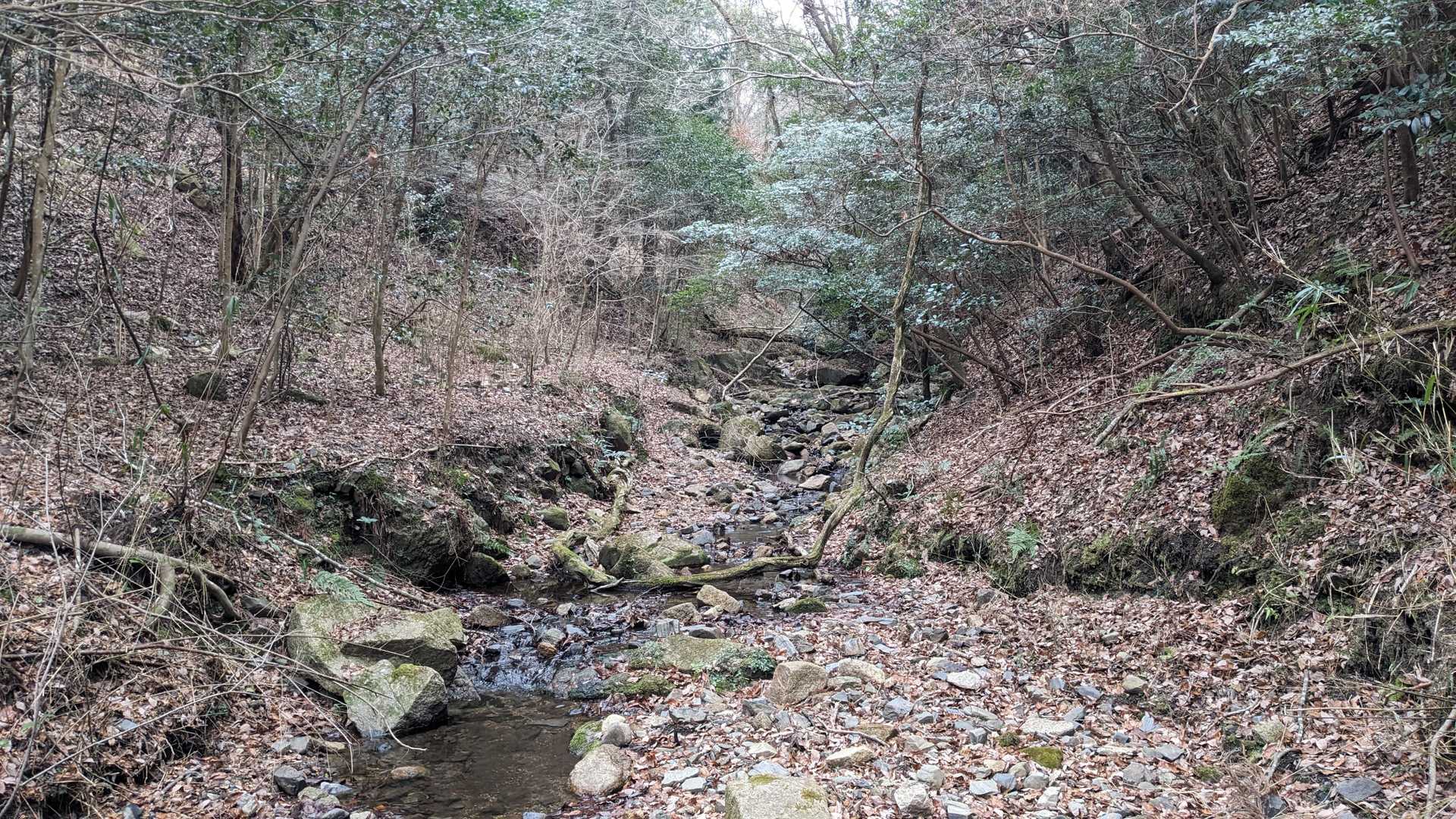 三上山 往復コースの写真