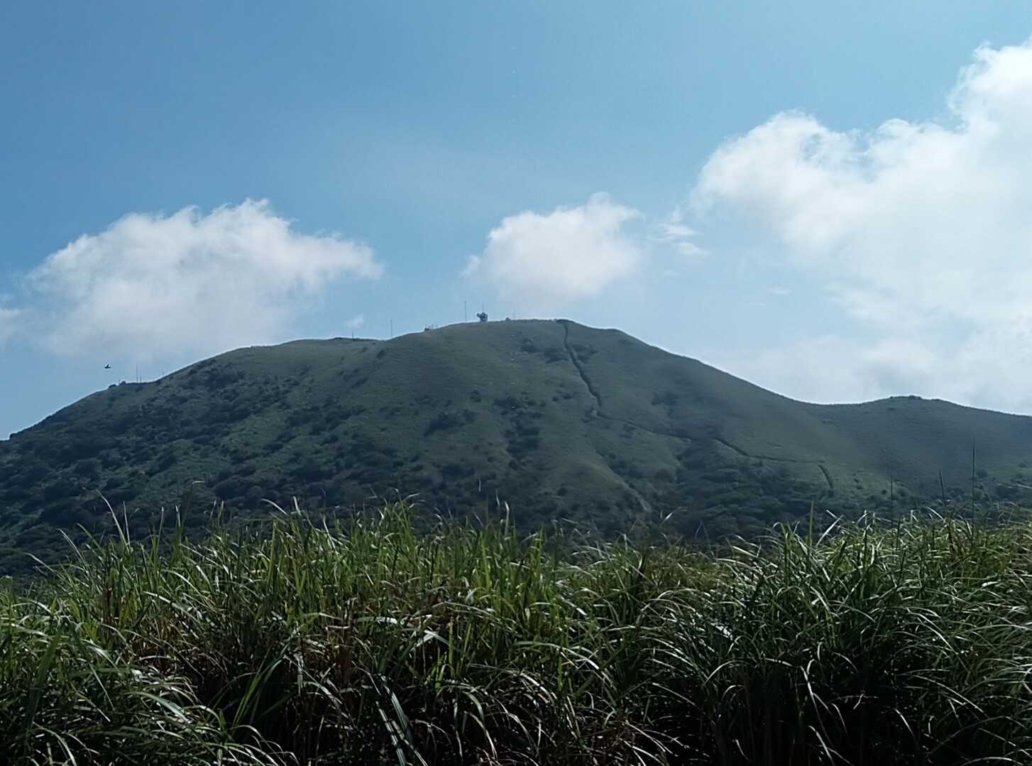 大屯山の写真