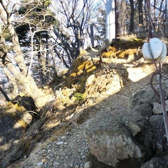 眺望、見えそうであまり見えない電波塔の周りをぐるりと一周😅