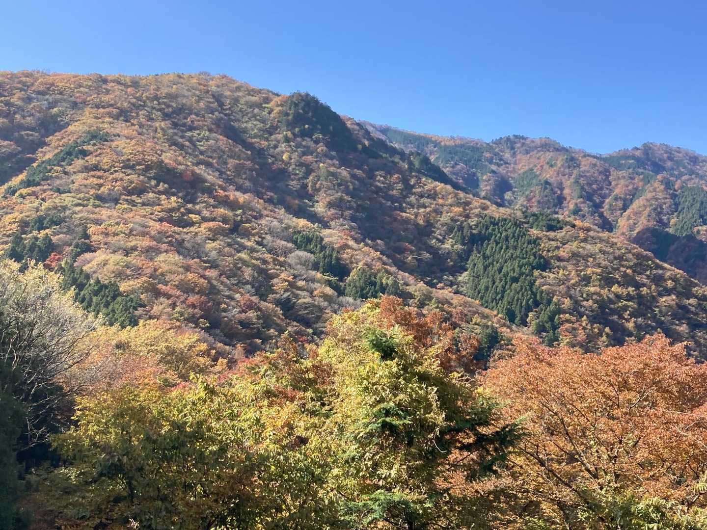 大持山あたり。