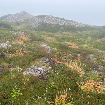 四塚山
