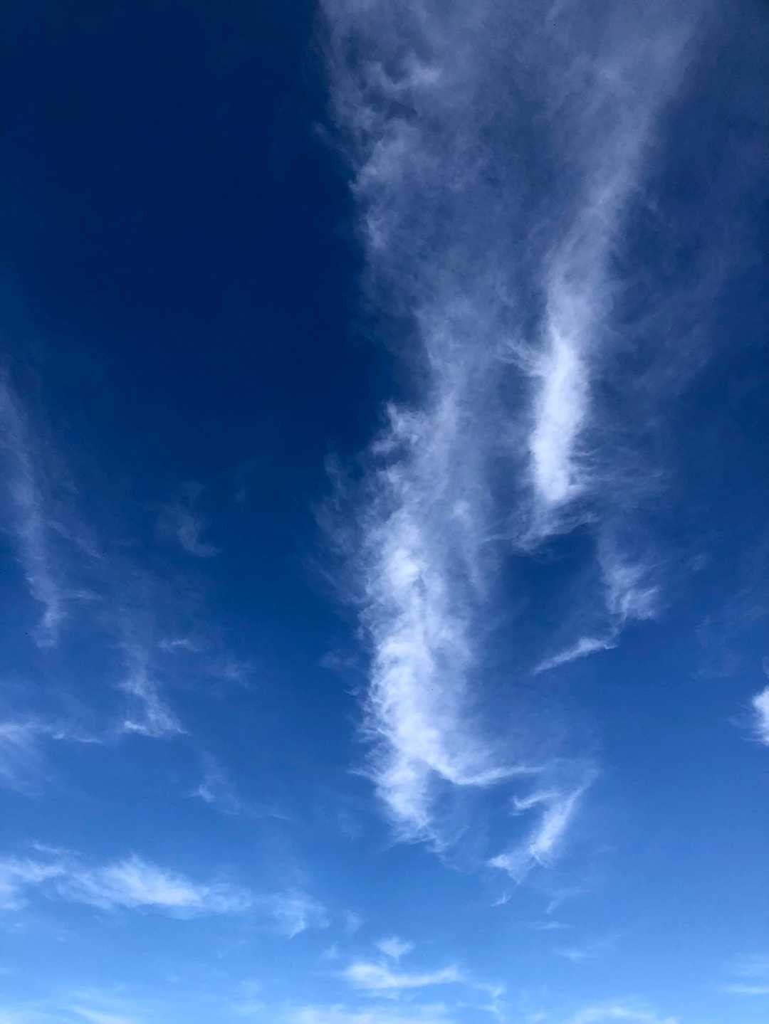 寝転ろんで空を見るなんていつぶりだろう…