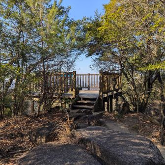 岩巣山展望台✨