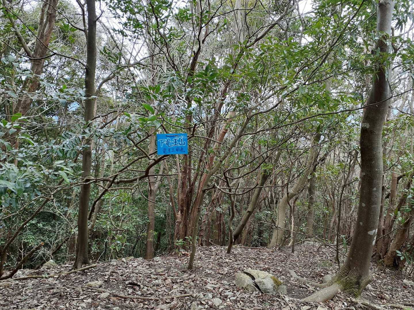 下龍王山