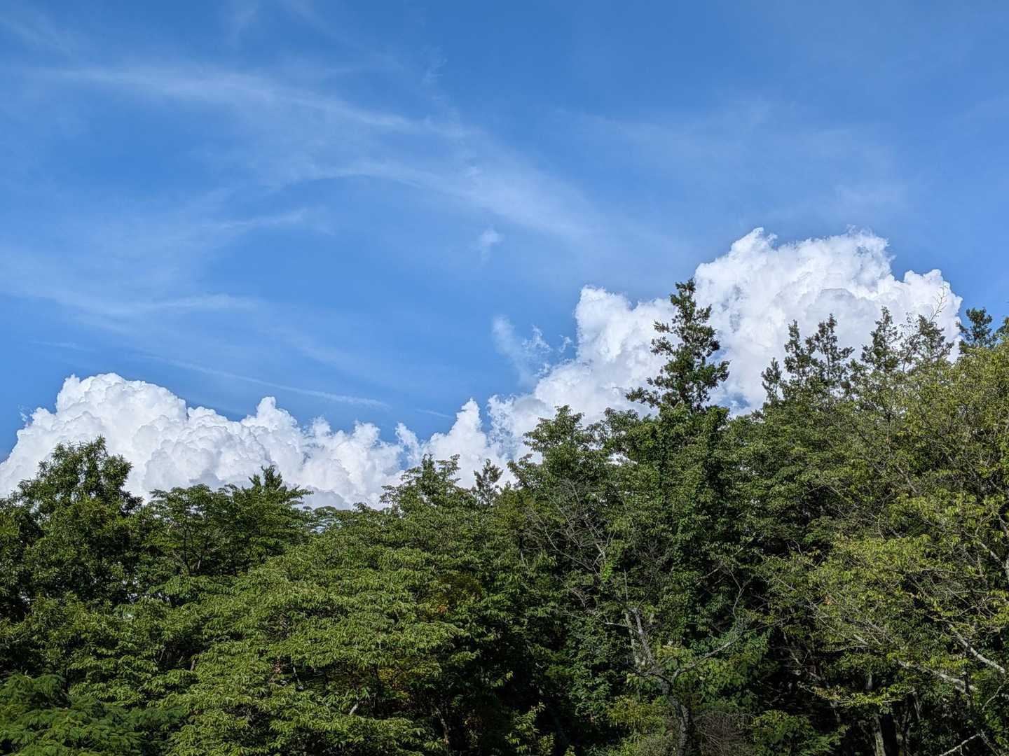 モクモク入道雲