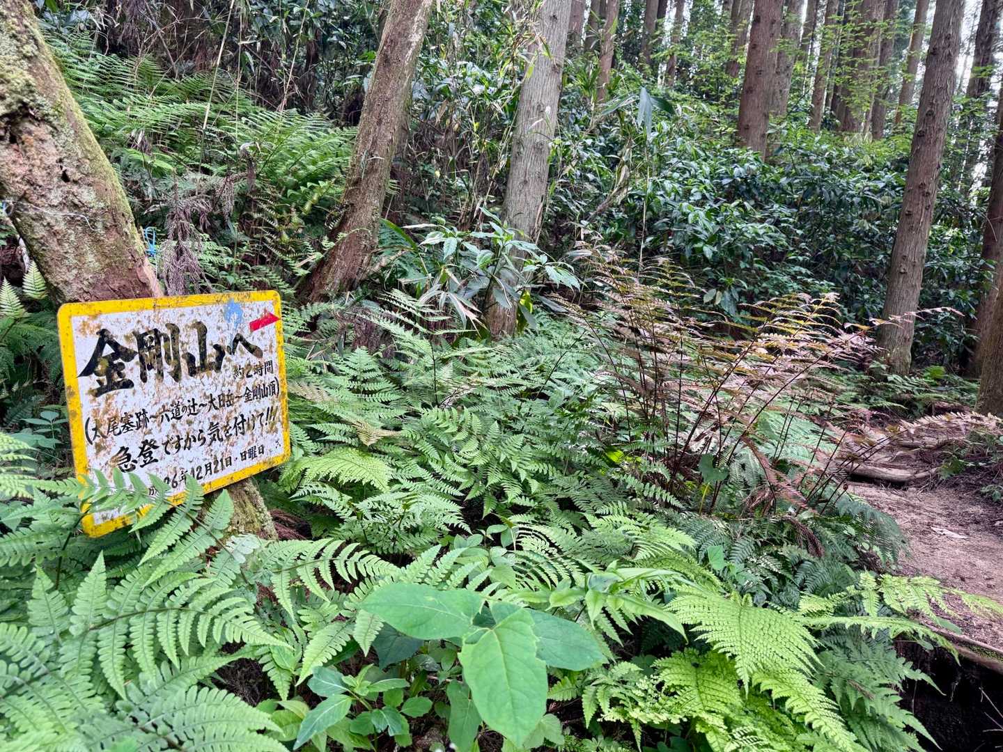 
ココからも
金剛山へ行けるんだ😊

…えっ⁉️
急登なのかっ💦💦💦

