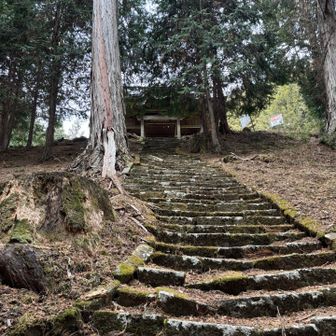 カンボジアの遺跡のようだ❗️
行ったことないけど。
