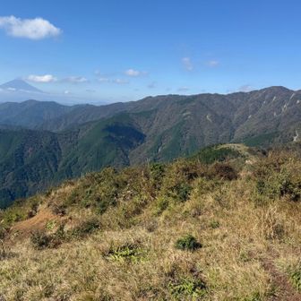 三ノ塔からみた大倉尾根