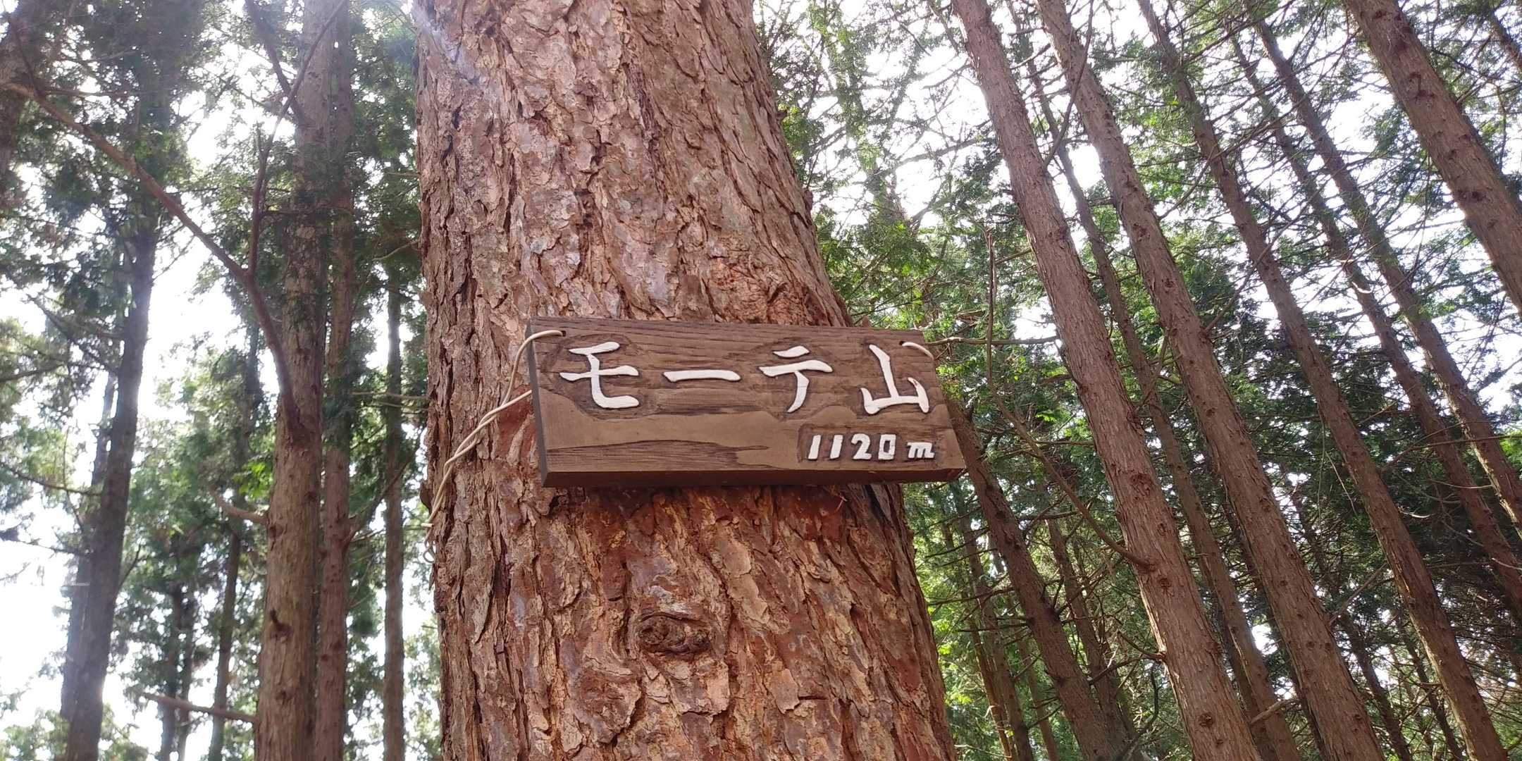 実は湯久保尾根は歩くの２回目。前回は立ち寄らなかったモーテ山。立派な標識があったのが分かって、嬉しい😆