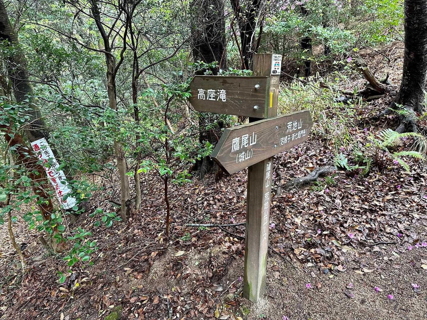 太陽と緑の道・東お多福山コースの写真