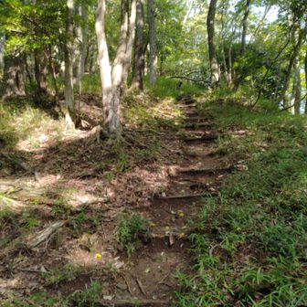 そして、こちらも少々登りが続きますが…