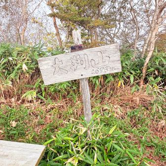 と思ったけどここでは下しか向いてなかった🤣
