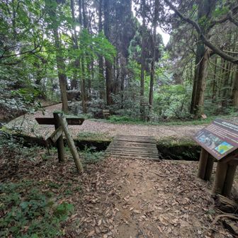 蛤水道につきあたります。右に行けば坂本峠。左に行けば背振山方面。左へ