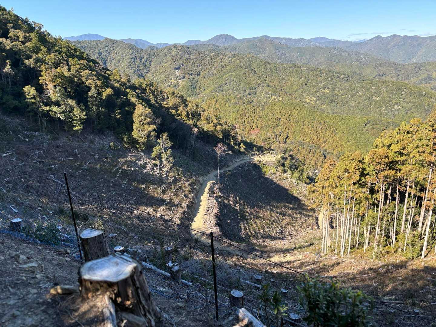 千羽富士-千羽ヶ岳 往復コースの写真
