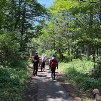 船山十字路まで下りて登山終了となりました。
初級編とはいえ、バリエーションルート（YAMAPでは破線となっています）を登れたことはよい経験となりました。加えて、普段ソロ登山が多く、チーム組んで登るということはないため、疑似的とはいえ、チームで登るという経験もできたのはありがたかったと思います。いっしょに参加された皆さんには、いろいろな場面で助けていただき、また登り方、下り方などのアドバイスもいただいたり、夕食後おいしいジンを（しかも氷まで！）分けていただいたりと感謝しかありません。みなさん、おつかれれ山でした！そして、ありがとうございます。