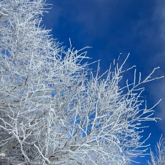 青空と霧氷
これを観に来たんだ。
ちょっと満足☺️