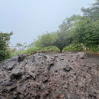 掃部ヶ岳山頂に到着🙌