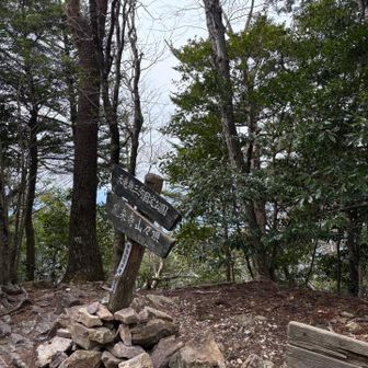 山頂に到着しました♪