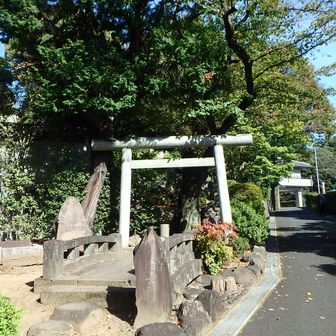 右の道を行ったら行き止まり
左の鳥居から山頂へ