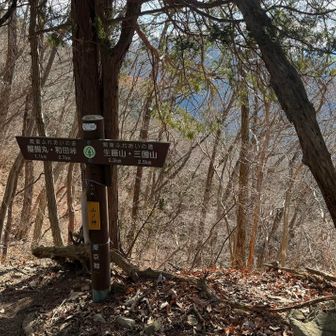 こちらの標識には「山ノ神」とありました。
ピークではなかったのですが、何でしょう
黒田朝日くん🏃‍♂️？