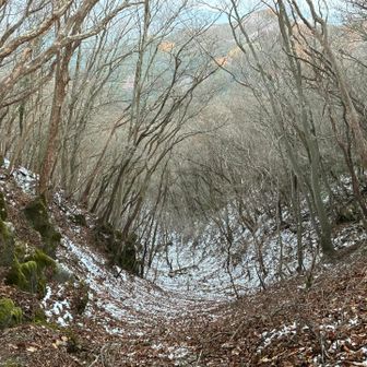 二ノ峰手前の北側斜面
薄っすら雪が積もる。