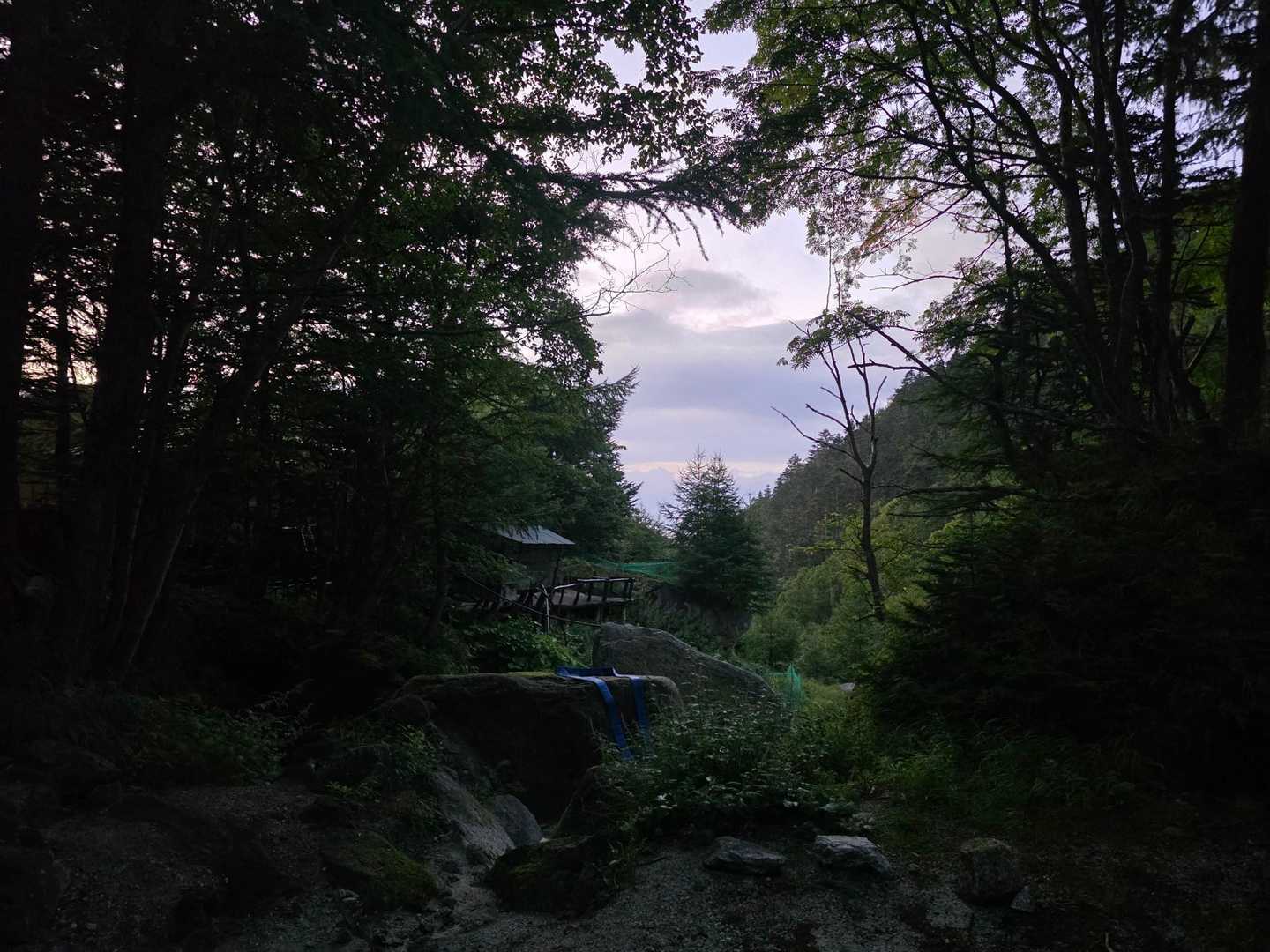 そして翌朝🌅

日の出を合図に動き出すおじさん