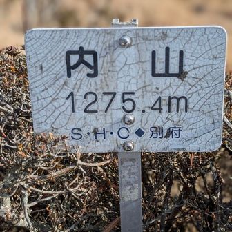 内山 頂きましたー。
360°眺望👍️
登山道含め予想外のいい山です！👍️👍️👍️👍️👍️