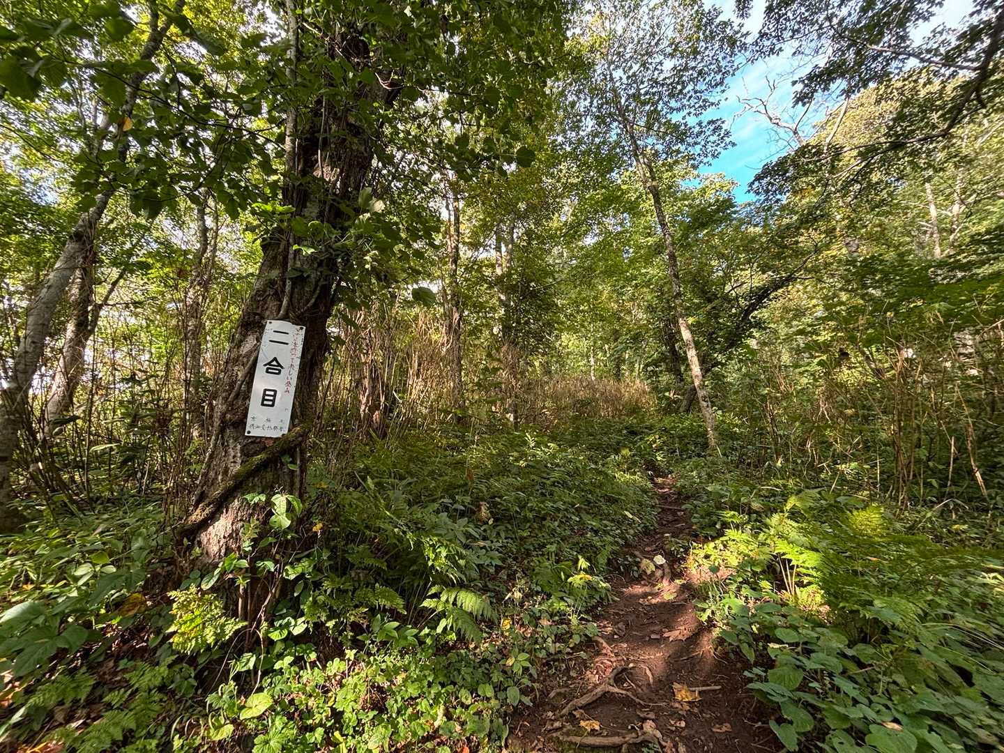 京極登山口-羊蹄山 往復コースの写真