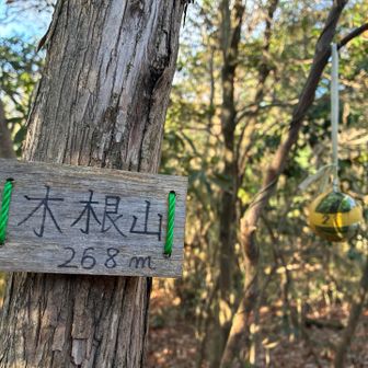 ⑧木根山　🎾が下がってた跡があった　紐が切れてた