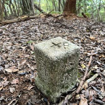 途中にあった三角点　225m