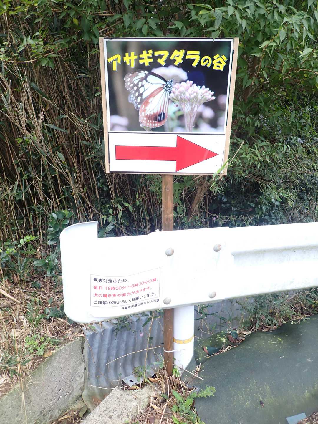 煙樹ヶ浜の駐車場に車を置き､西山遊歩道を歩き､西山ピクニック緑地にやってきました｡