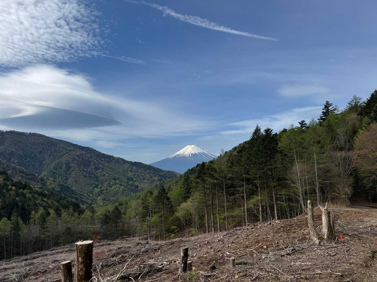 三ッ峠山登山口-大幡八丁峠-清八山-清八峠-本社ヶ丸 往復コースの写真